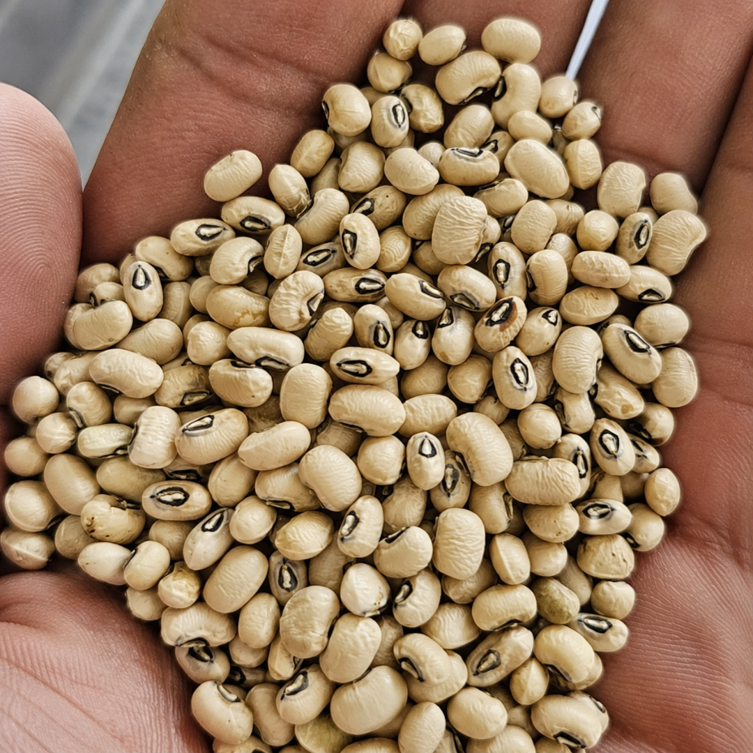 Organic Chavali