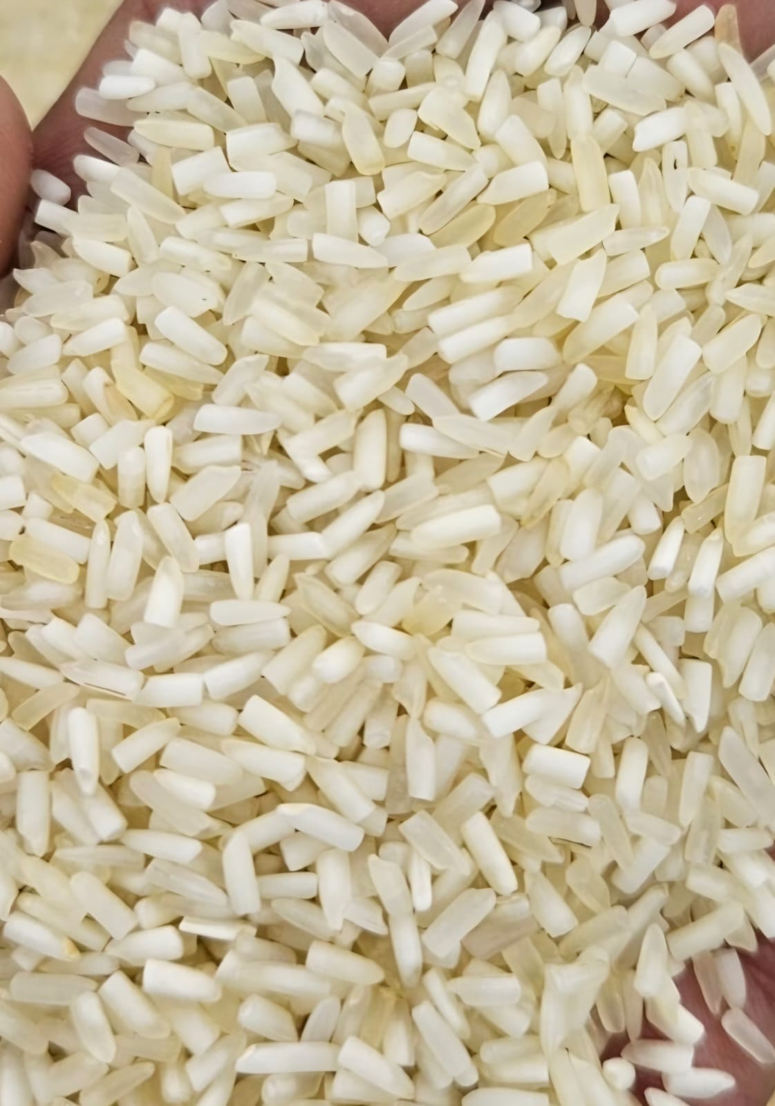 Kalyaani Basmati Tukda Mogra Rice 1Kg