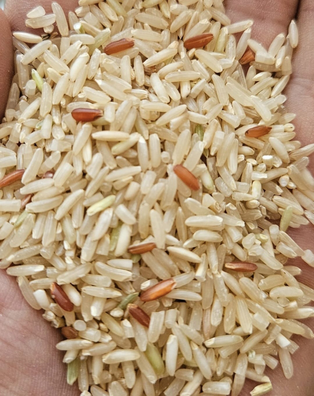 Kalyaani Brown Indrayani Rice 1Kg